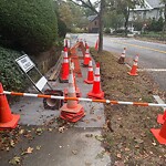 Sidewalk Obstruction at Sumner Rd