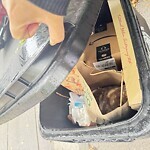 Trash/Recycling at 47 Bowker St