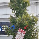 Damaged Sign at 880 Us 20