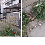 Trash/Recycling at 874 Commonwealth Ave, Boston