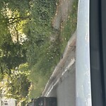 Sidewalk Obstruction at 459 Heath St, Chestnut Hill Sidewalk Obstruction at 459 Heath St, Chestnut Hill