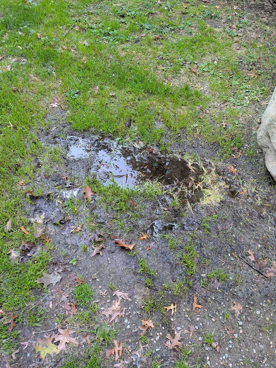 Photo_20250927_070434