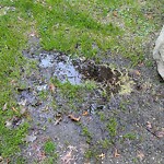 Park Playground at Davis Ave & Emerson St, 101 Davis Ave