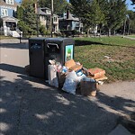 Trash/Recycling at 48 Stedman St