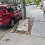 Trash/Recycling at 282 Cypress St