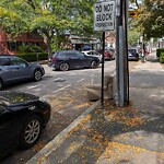 Trash/Recycling at 156 Cypress St