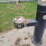 Park Playground at 48 Stedman St