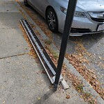 Trash/Recycling at 254 Cypress St