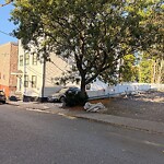 Trash/Recycling at 15 Cameron St