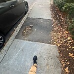 Sidewalk Repair at 53 Greenough St