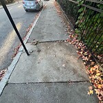 Sidewalk Repair at 47 Greenough St