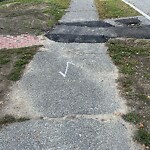 Sidewalk Repair at 16 Blake Rd
