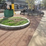 Public Trees at 48 Station St