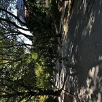 Park Playground at 151 Salisbury Rd