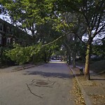 Public Trees at 151 Salisbury Rd