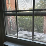 Trash/Recycling at 2–32 Pleasant St