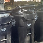 Trash/Recycling at 76 Monmouth St