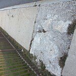 Sidewalk Repair at 431 Pond St, Boston 02130
