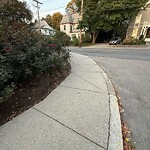 Sidewalk Obstruction at 252 Kent St