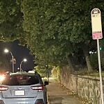 Parking Issues at Boylston St