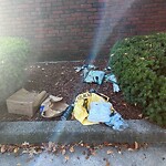 Trash/Recycling at 1715 Beacon St