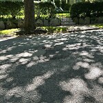 Pothole at 65 Crafts Rd, Chestnut Hill