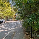 Sidewalk Obstruction at 29 Oakland Rd