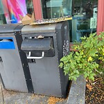 Trash/Recycling at 279 Washington St