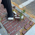 Sidewalk Repair at 83–99 Harvard Square