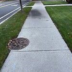 Sidewalk Repair at 69 Clinton Rd