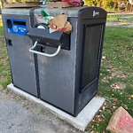 Trash/Recycling at 53 65 School St