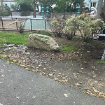 Park Playground at 66–106 Davis Ave