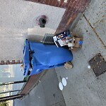 Trash/Recycling at 4 Cypress St