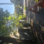 Sidewalk Obstruction at 54 Clyde St, Chestnut Hill