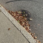 Water and Sewer at 50 Pleasant St