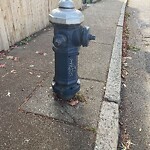 Graffiti at 49 Davis Ave