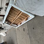 Trash/Recycling at 12 Homer St