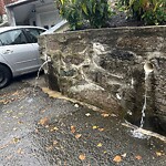 Sidewalk Obstruction at 508 Washington St