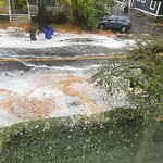 Water and Sewer at 79 Cypress St