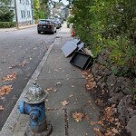 Sidewalk Obstruction at 29 Oakland Rd