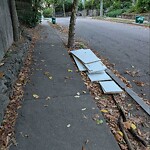 Sidewalk Obstruction at 28 Oakland Rd Sidewalk Obstruction at 28 Oakland Rd