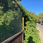 Park Playground at 233 Aspinwall Ave