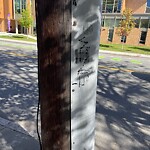 Graffiti at 1634 Beacon St