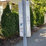 Graffiti at 1 Evans Rd