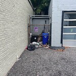 Trash/Recycling at 230 Cypress St