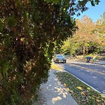 Sidewalk Obstruction at 64 Sumner Rd