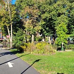 Park Playground at 55 Pond Ave