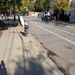 Trash/Recycling at Cypress St @ Kendall St