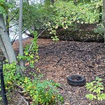 Other at Riverdale Parkway Bikepath