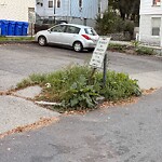 Sidewalk Obstruction at 47–51 Cameron St